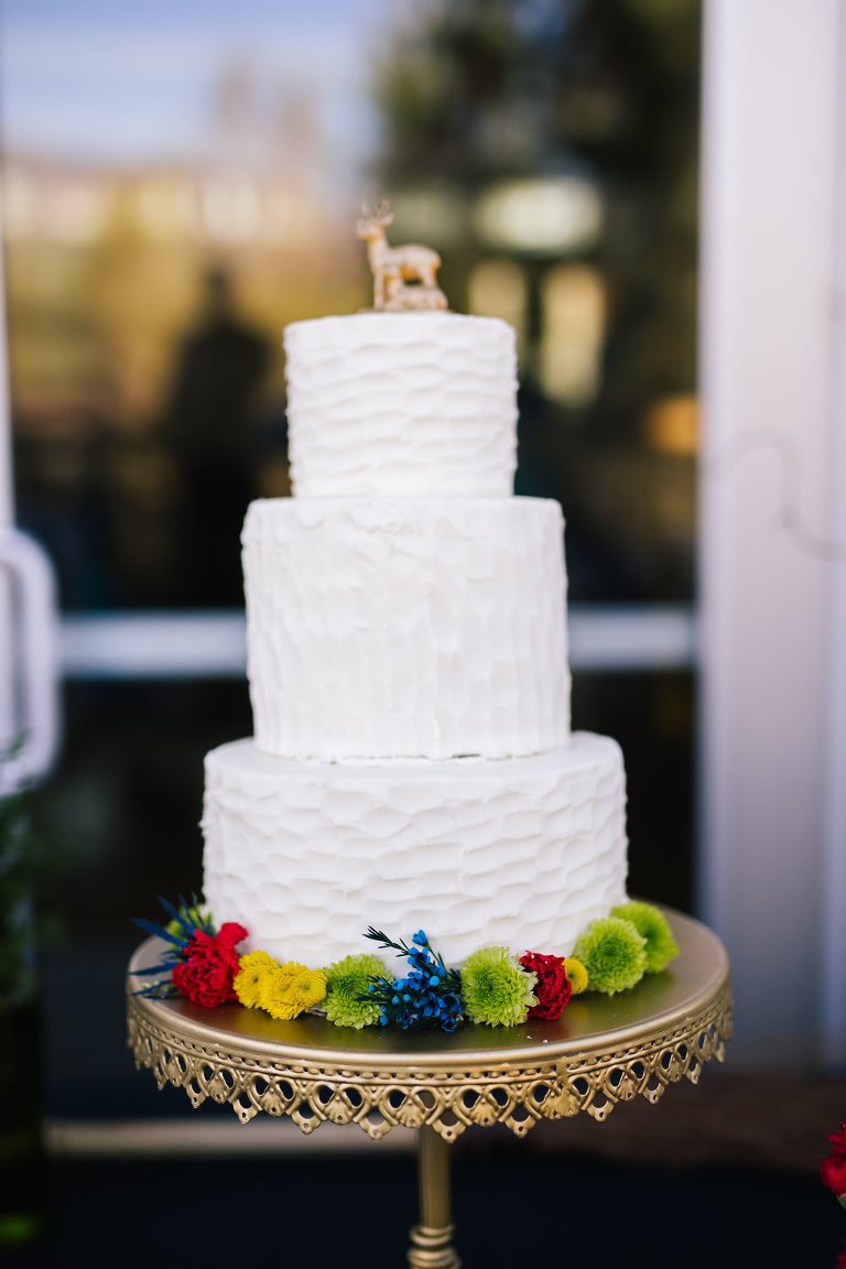 Cake (2 of 12)_Amy_Hirschi_Photography_Ogden_Salt_Lake_Utah_Wedding_Photographer