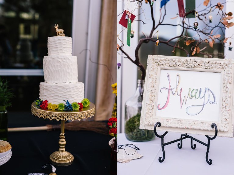 Cake (4 of 12)_Amy_Hirschi_Photography_Ogden_Salt_Lake_Utah_Wedding_Photographer