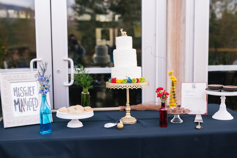 Cake (6 of 12)_Amy_Hirschi_Photography_Ogden_Salt_Lake_Utah_Wedding_Photographer